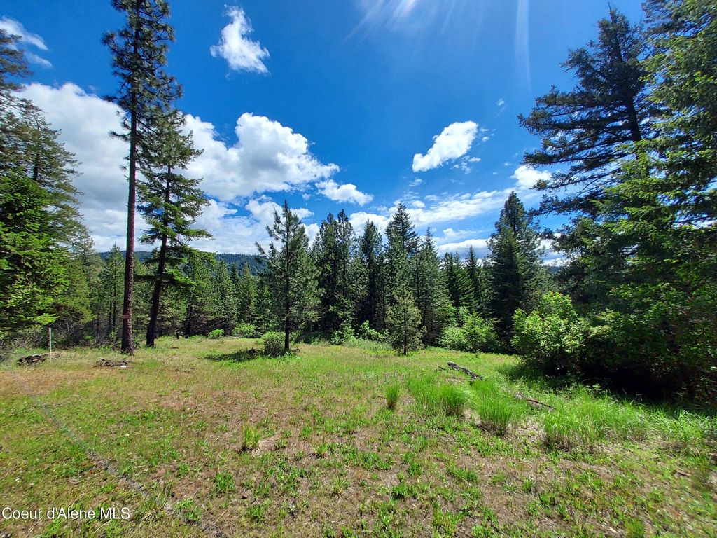 NKA E CANTON LN, Harrison, ID 83833