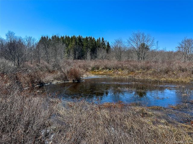 381 Dutch Hill Road, Call Listing Agent, NY 12776