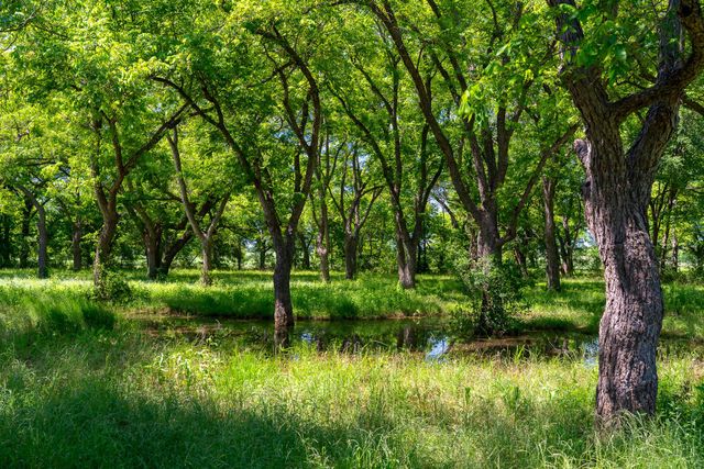 400 619 SPUR, Elgin, TX 78621