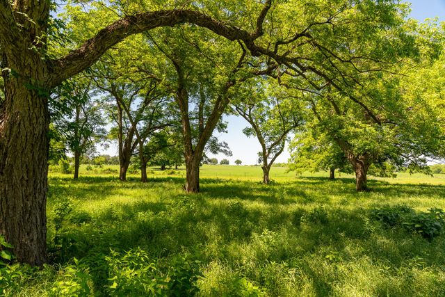 400 619 SPUR, Elgin, TX 78621