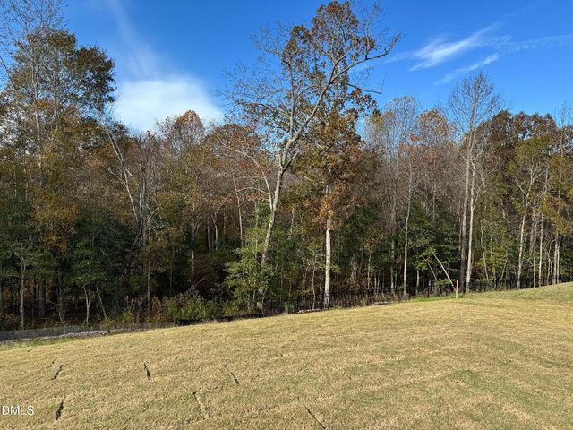 1021 Red Finch Way, Angier, NC 27501