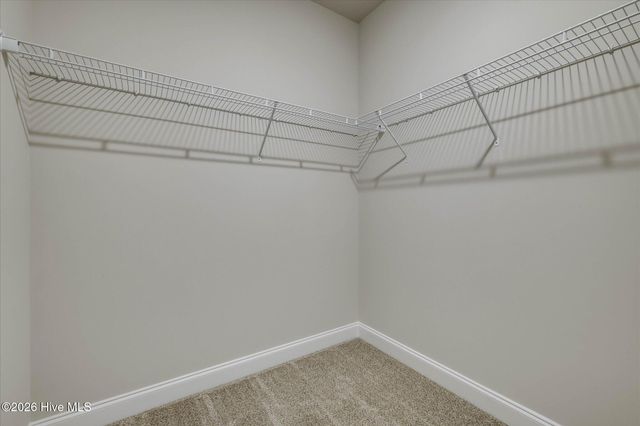 241 Silver Court, Trenton, SC 29847