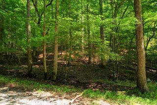 Lot 1972 Nancy Court, Ellijay, GA 30540