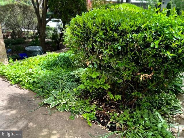 4420 FOREST GLEN CT, Annandale, VA 22003