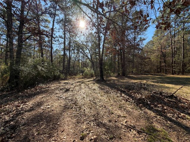 397 County Road 2117, Cleveland, TX 77327