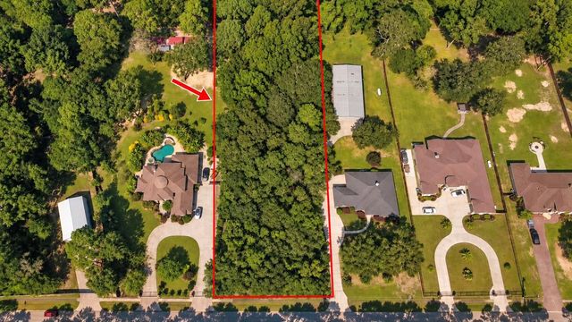 19335 Serpenteer Drive, Porter, TX 77365