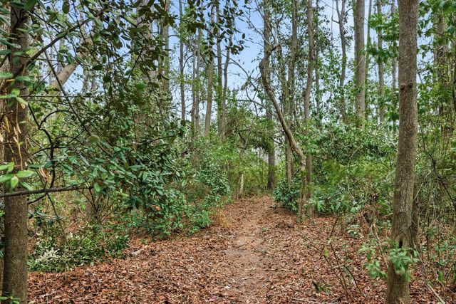 121 Jakes Lane, Mount Pleasant, SC 29464