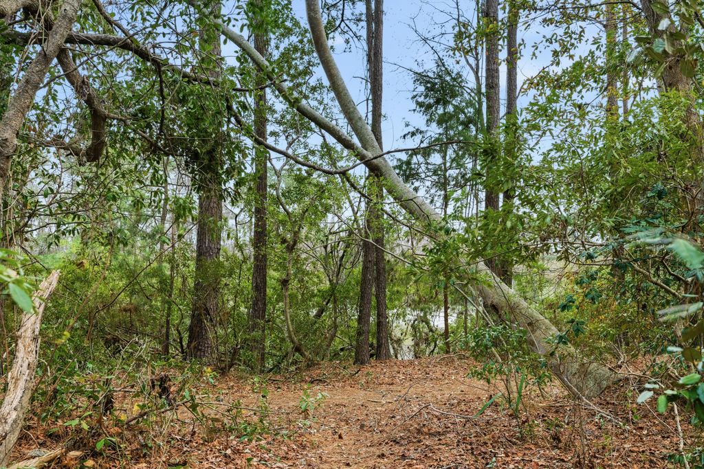 Image 58 of property listing at 121 Jakes Lane, Mount Pleasant, SC 29464