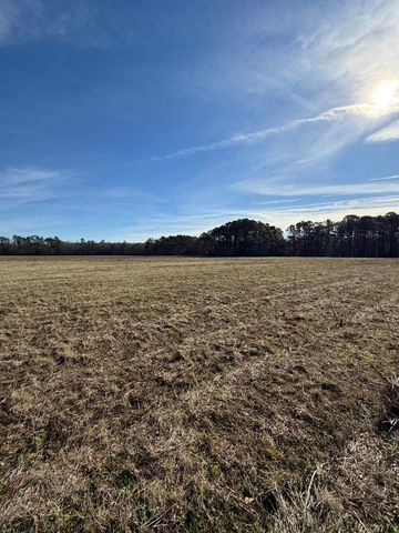 Lot 5 Johnson Shelley Rd., Conway, SC 29526