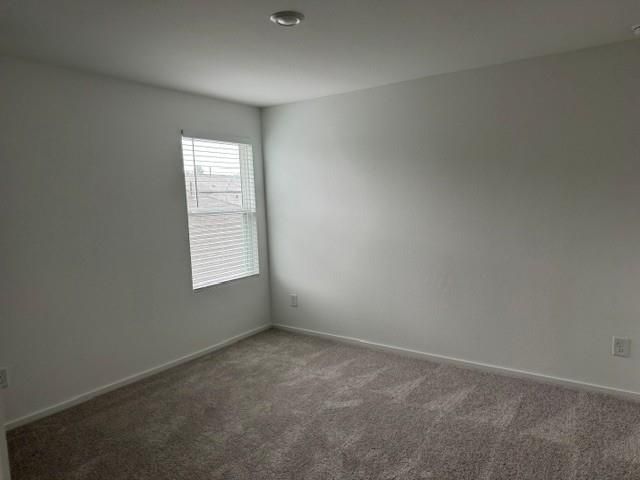 18081 Trepito Avenue, New Caney, TX 77357
