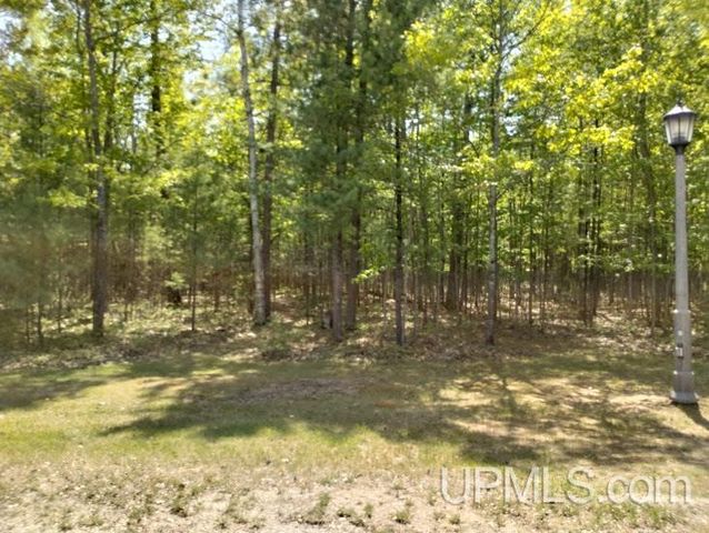 10451 Breezy R.22 Lane, Rapid River, MI 49878