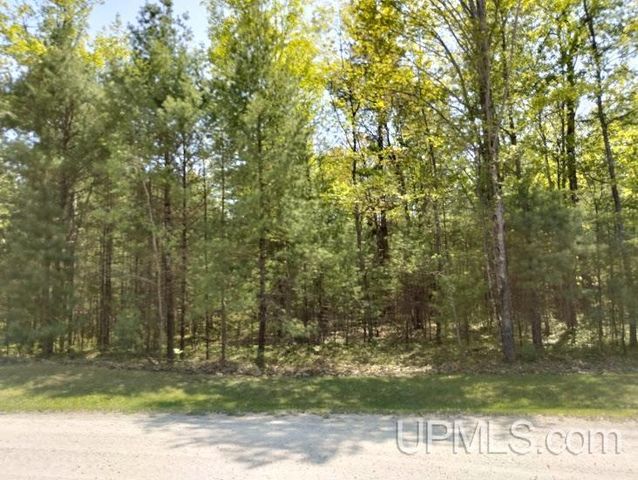 10451 Breezy R.22 Lane, Rapid River, MI 49878