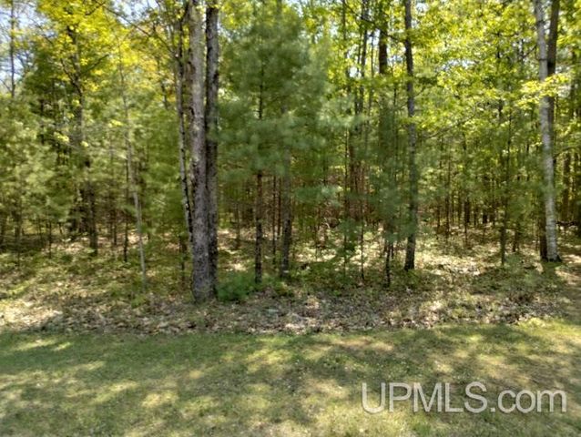 10451 Breezy R.22 Lane, Rapid River, MI 49878