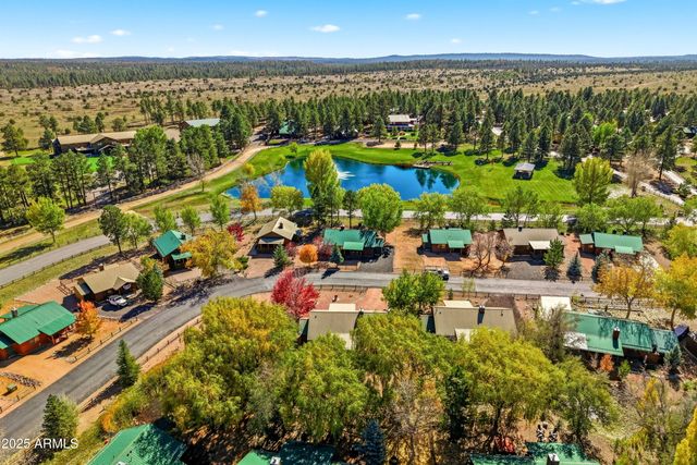 2348 S BUFFALO Loop, Overgaard, AZ 85933