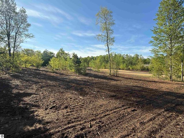 1029 E Solaris Way, Maple City, MI 49664