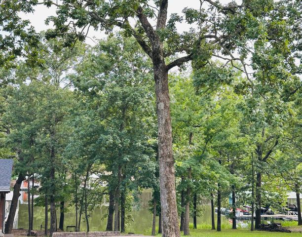 31200 Blackwood Drive, Afton, OK 74331