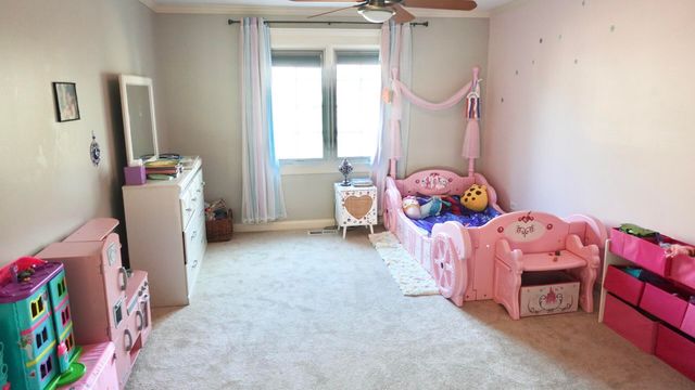 1811 Rizzi Lane, Bartlett, IL 60103