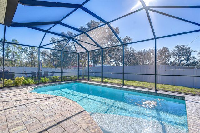 11724 WROUGHT PINE LOOP, Riverview, FL 33569