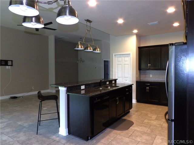 1597 W Caroline Path, Lecanto, FL 34461