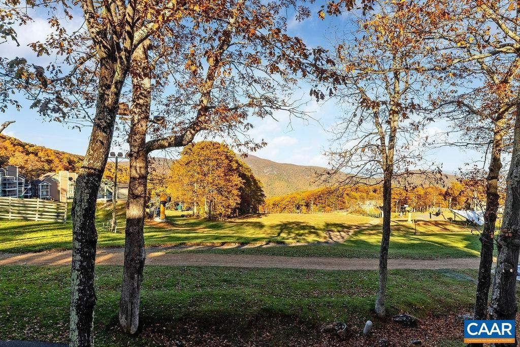 255 TIMBERS CONDOS, Wintergreen Resort, VA 22967