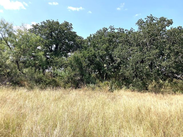 31 Acres TBD HWY 2247, Comanche, TX 76442