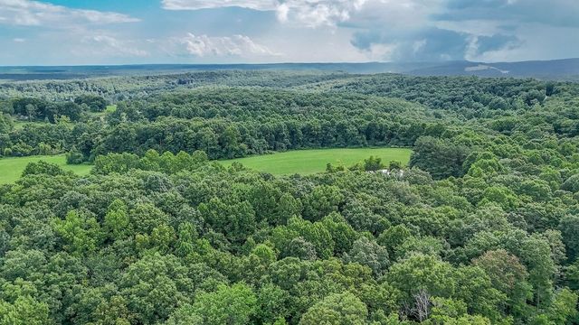 237 Chestnut Ridge Road, Spring City, TN 37381