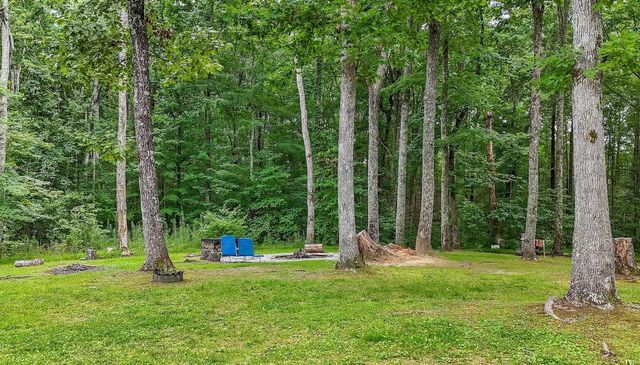 237 Chestnut Ridge Road, Spring City, TN 37381