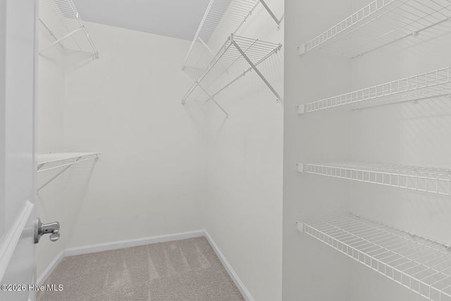 403 Halo Court, Jacksonville, NC 28546