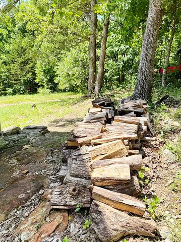 000 SE 1200 Road, Collins, MO 64738