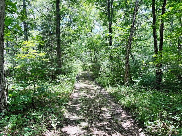 000 SE 1200 Road, Collins, MO 64738