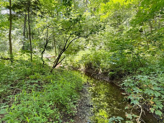 000 SE 1200 Road, Collins, MO 64738