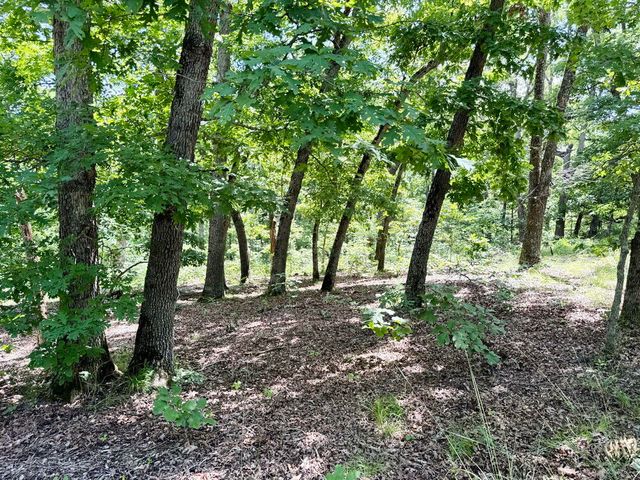 000 SE 1200 Road, Collins, MO 64738