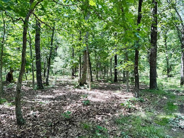 000 SE 1200 Road, Collins, MO 64738