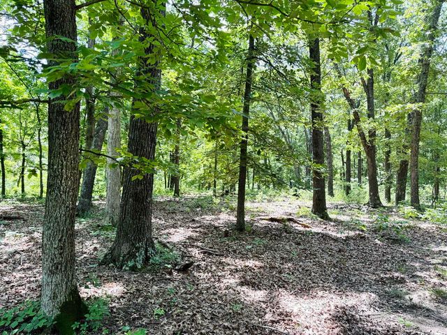 000 SE 1200 Road, Collins, MO 64738