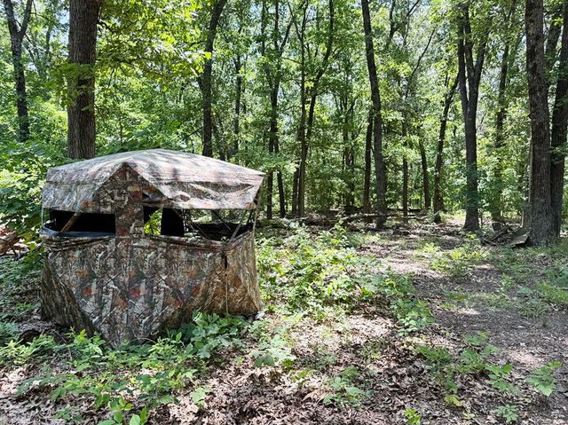 000 SE 1200 Road, Collins, MO 64738