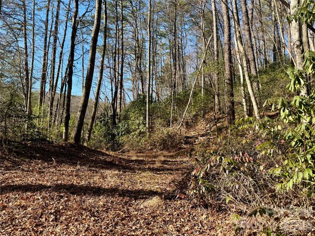 lots 35, 36 & 37 Fox Den Road 35,36,37, Brevard, NC 28712