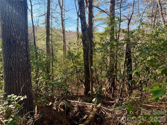 lots 35, 36 & 37 Fox Den Road 35,36,37, Brevard, NC 28712