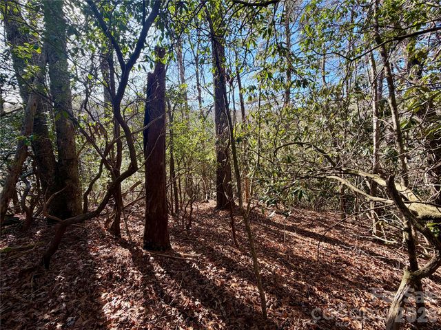 lots 35, 36 & 37 Fox Den Road 35,36,37, Brevard, NC 28712