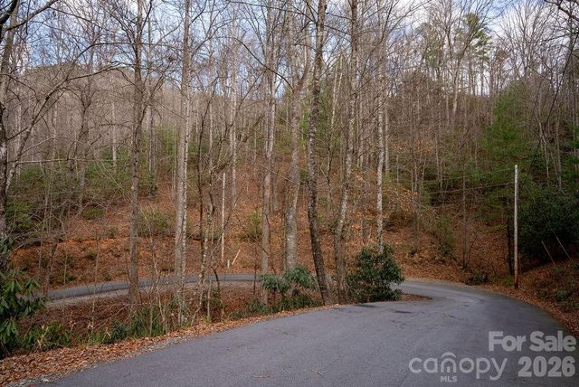 lots 35, 36 & 37 Fox Den Road 35,36,37, Brevard, NC 28712