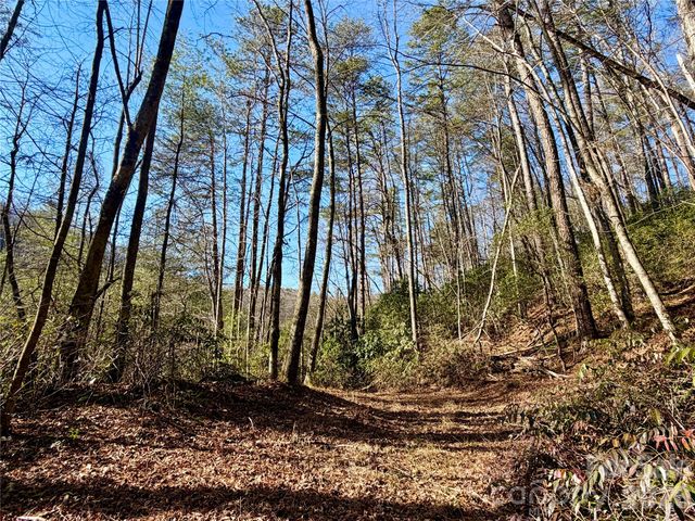 lots 35, 36 & 37 Fox Den Road 35,36,37, Brevard, NC 28712