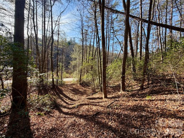 lots 35, 36 & 37 Fox Den Road 35,36,37, Brevard, NC 28712