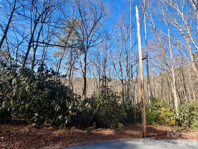 lots 35, 36 & 37 Fox Den Road 35,36,37, Brevard, NC 28712