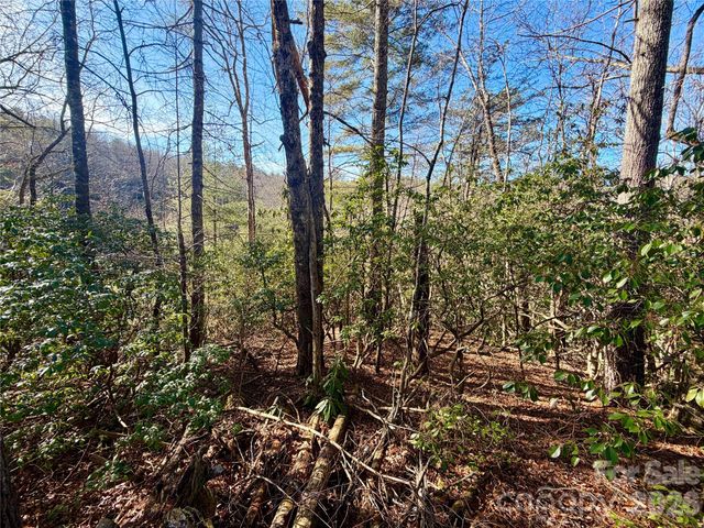 lots 35, 36 & 37 Fox Den Road 35,36,37, Brevard, NC 28712