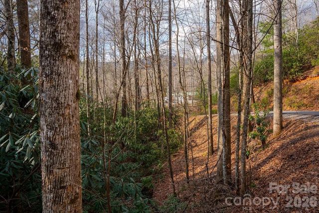 lots 35, 36 & 37 Fox Den Road 35,36,37, Brevard, NC 28712