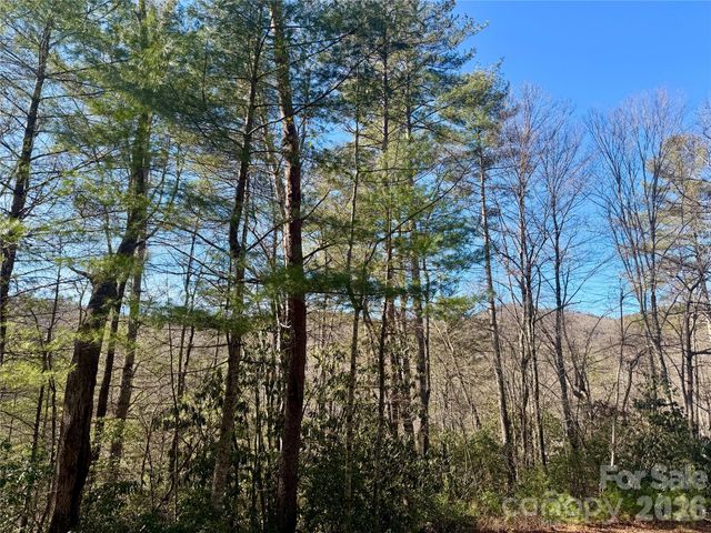 lots 35, 36 & 37 Fox Den Road 35,36,37, Brevard, NC 28712