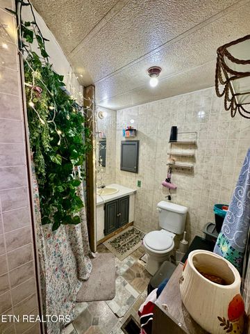 1500 Coal Hill Rd, Sunbright, TN 37872