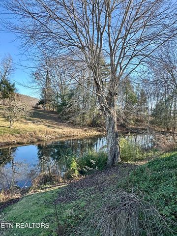 1500 Coal Hill Rd, Sunbright, TN 37872