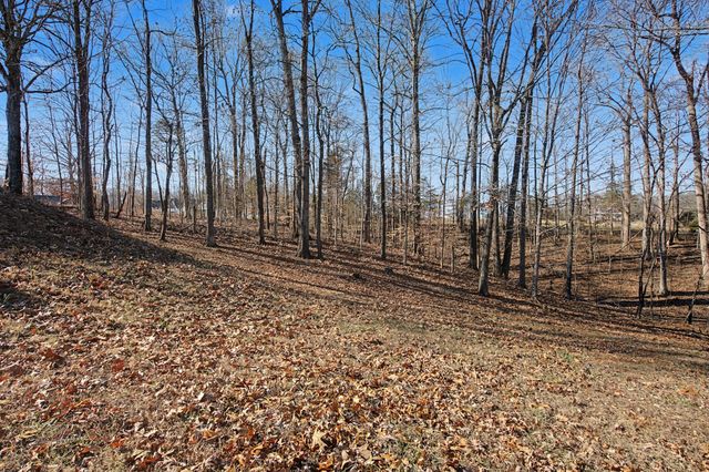 1075 Coker Ford Rd, Portland, TN 37148