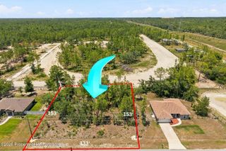 Lot 2 Ruffed Grouse Road, Weeki Wachee, FL 34614