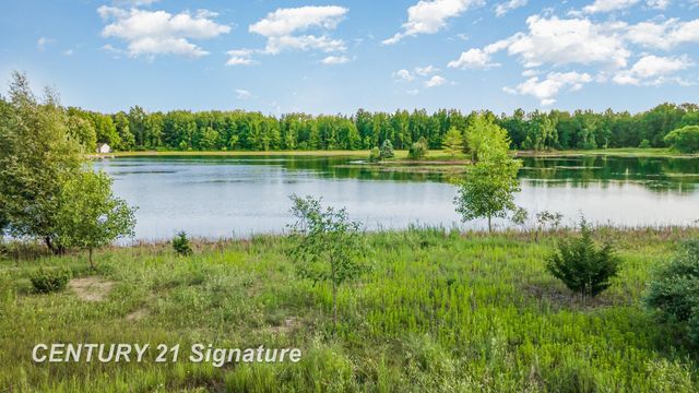 Vacant Swan Creek Road, Hemlock, MI 48626